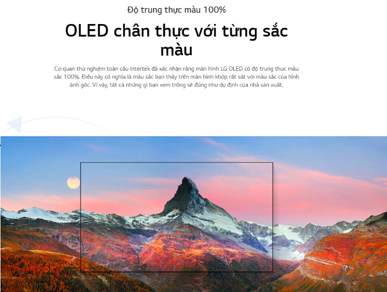 Smart Tivi OLED LG OLED48C1PTB 4K 48 inch